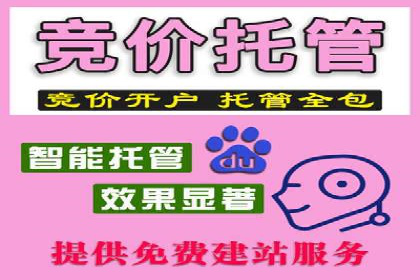 SEM搜索引擎优化成功案例，揭秘关键词优化技巧